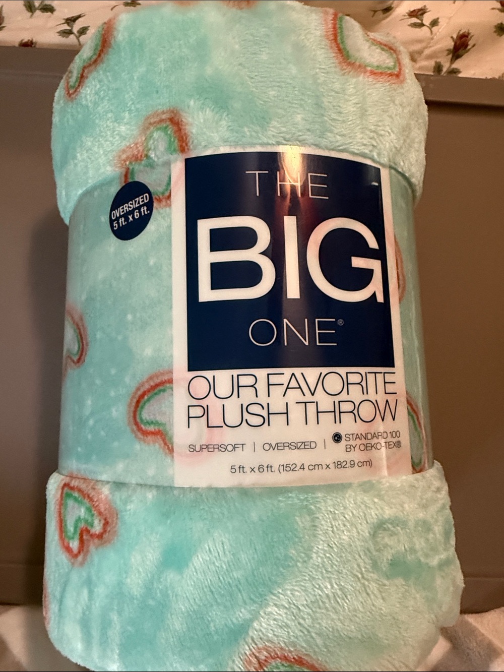 The Big One Plush Throw - Mint with Coral & White Hearts